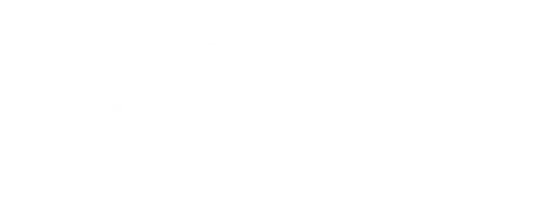 BWS — BW Solutions
